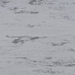 Gainsboro w/ Grullo CE‑112