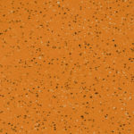 Toucan w/ Coffee Bean, Almond 711