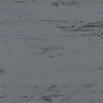 Grullo w/ Outer Space CE‑115