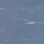 Foxglove w/ Gainsboro CE‑124